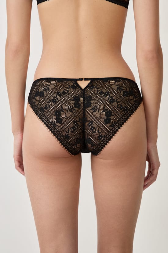 Lace and Microfiber Brief;${refinementColor}