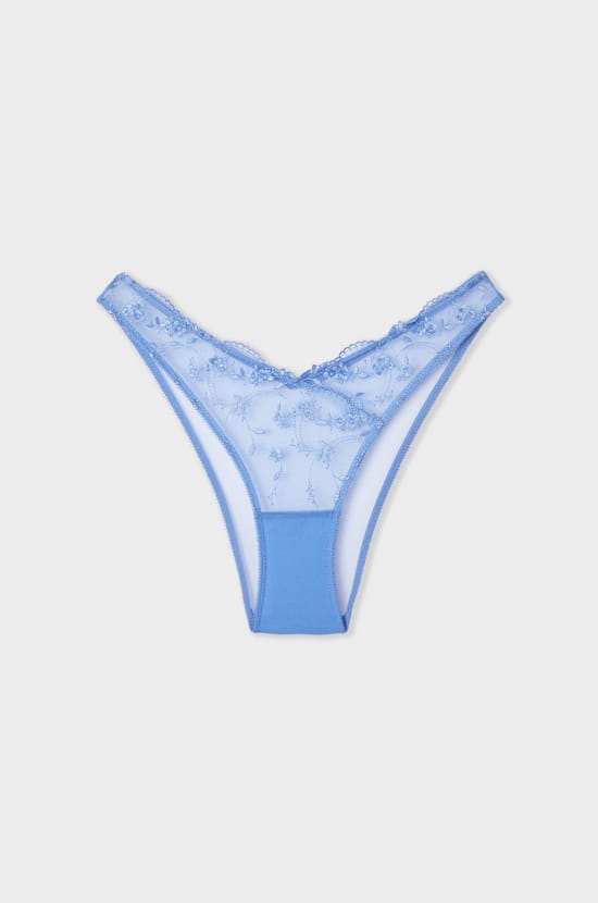 Embroidered Brazilian Brief;${refinementColor}