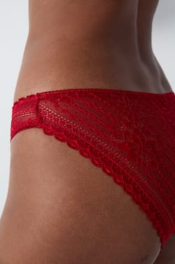Lace Brief;${refinementColor}