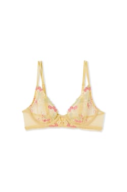 Soutien-gorge classique avec motifs fruits brod&eacute;s;${refinementColor}