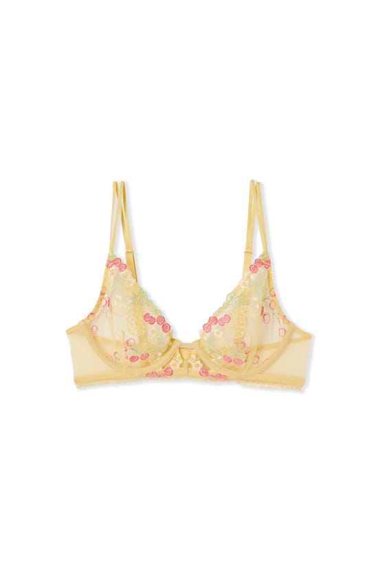 Soutien-gorge classique avec motifs fruits brod&eacute;s;${refinementColor}