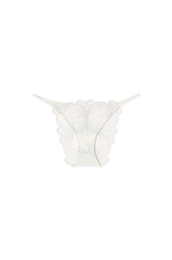 Embroidered Briefs;${refinementColor}