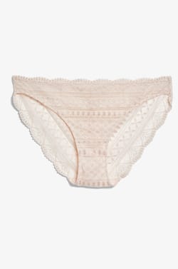 Lace Brief;${refinementColor}