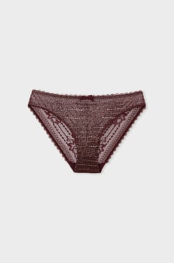 Iridescent lace brief;${refinementColor}