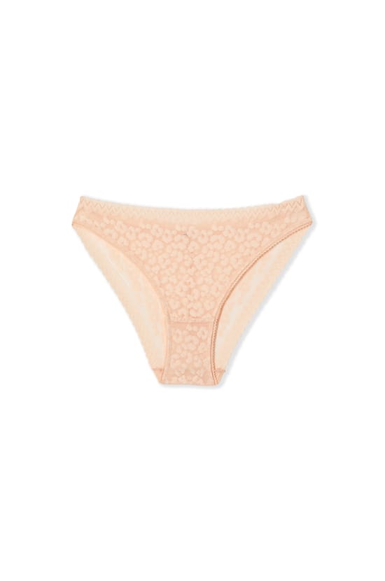 Cotton and Lace Briefs;${refinementColor}