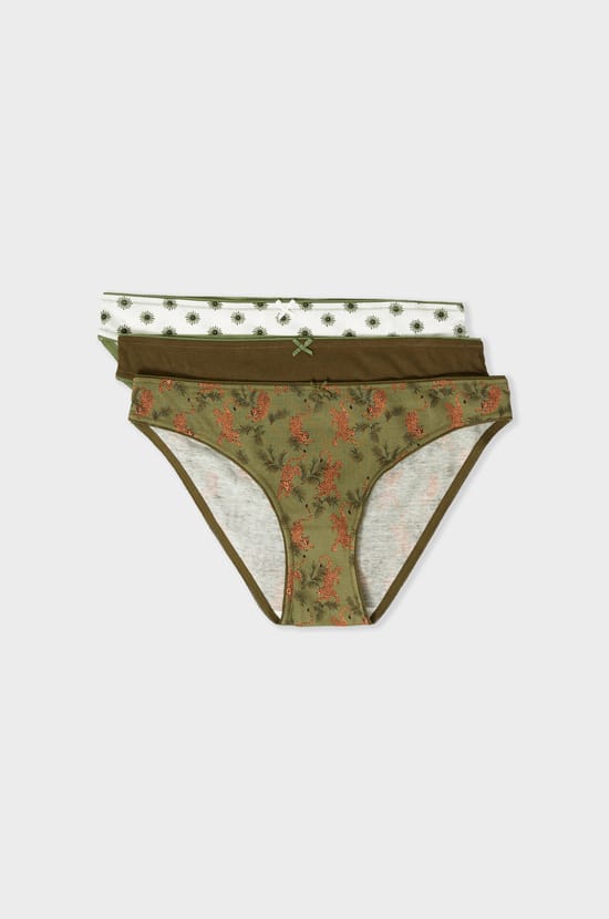 Pack of 3 Cotton Briefs;${refinementColor}