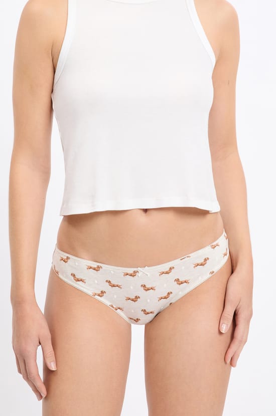 Lot de 3 culottes en coton &agrave; motifs teckels;${refinementColor}