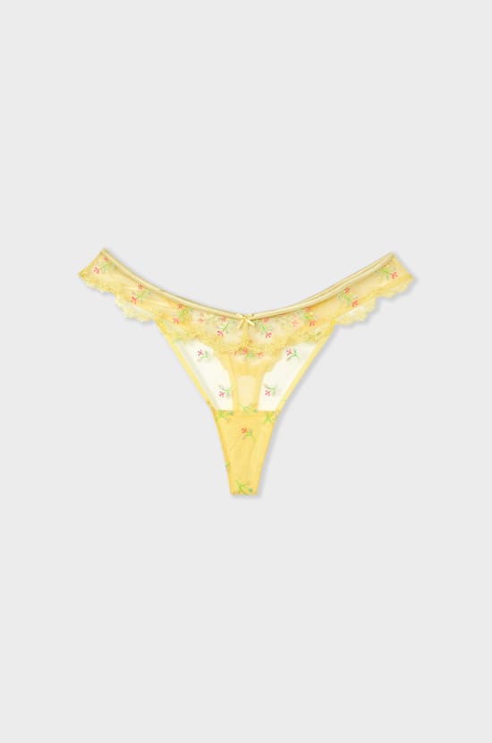 Embroidered Detail Thong;${refinementColor}