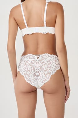 Lace Brief;${refinementColor}