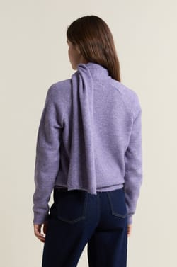 Pull col V avec &eacute;charpe int&eacute;gr&eacute;e;${refinementColor}