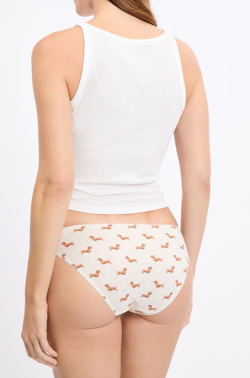 3-Pack Cotton Briefs;${refinementColor}