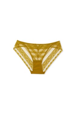 Lace Briefs;${refinementColor}