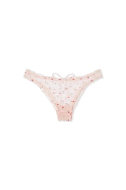 Brief with Embroidery;${refinementColor}