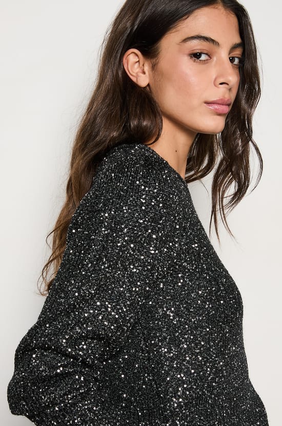 Pull col rond à paillettes;${refinementColor}