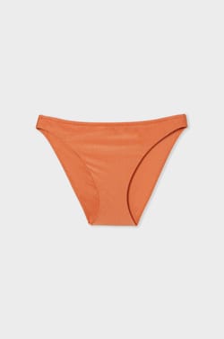 Bikini bottom swimsuit brief;${refinementColor}