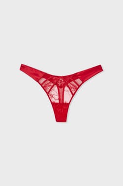 Lace and Satin Thong;${refinementColor}