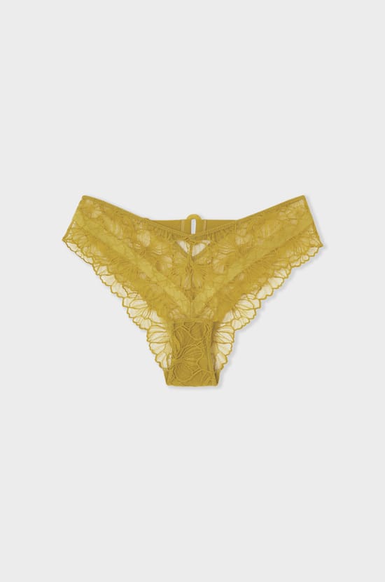 Lace Hipster;${refinementColor}