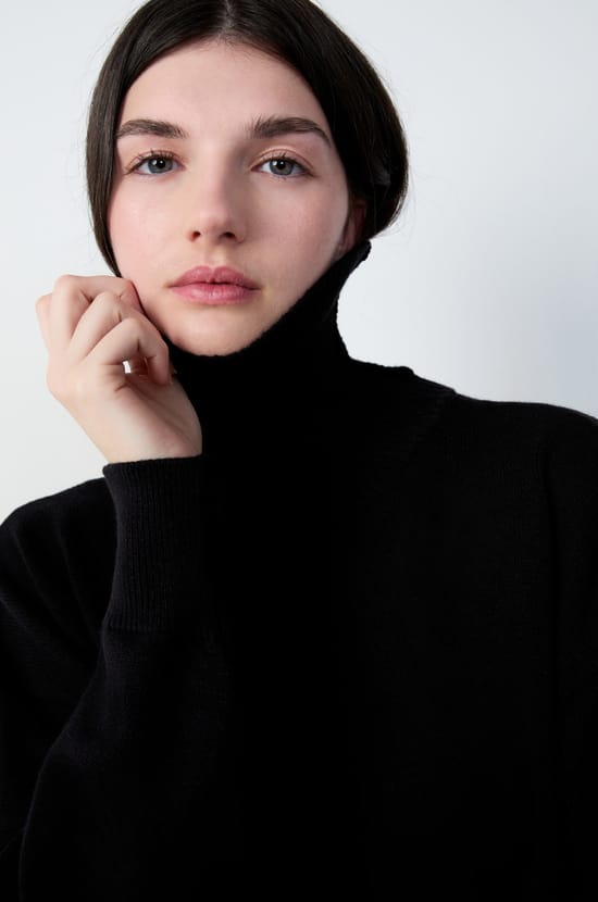 Pull col roulé;${refinementColor}