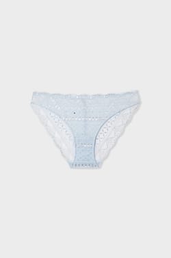 Lace Brief;${refinementColor}
