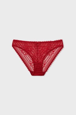 Lace Briefs;${refinementColor}