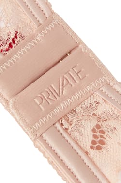 Lace Bra;${refinementColor}