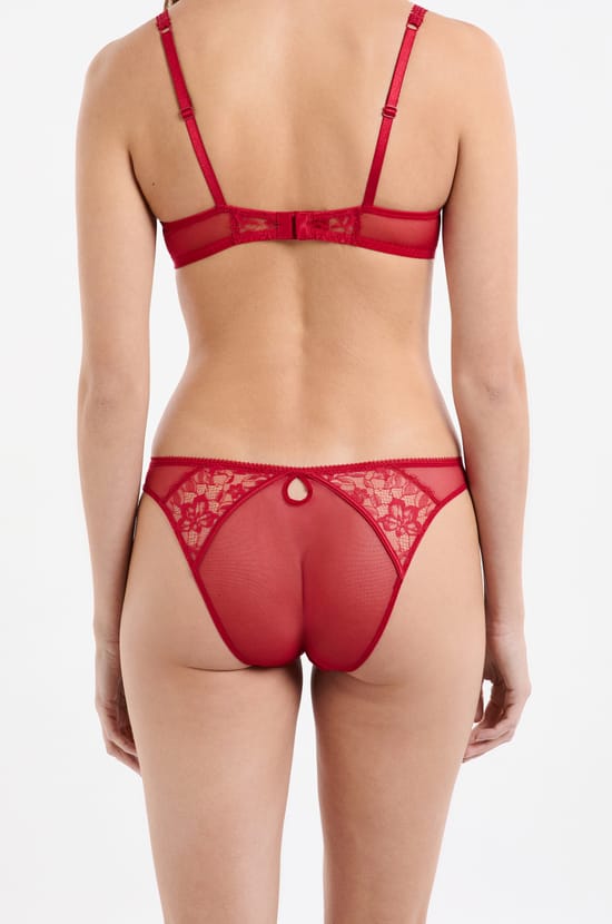 Lace and Satin Brief;${refinementColor}