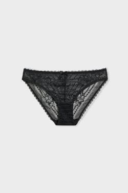 Lace Brief;${refinementColor}