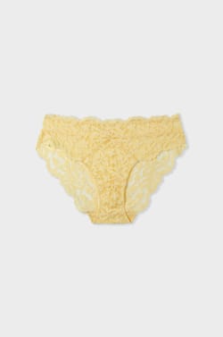 Lace Brief;${refinementColor}