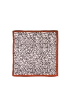 Foulard imprim&eacute; z&egrave;bre;${refinementColor}