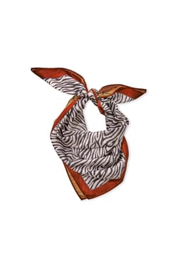 Foulard imprim&eacute; z&egrave;bre;${refinementColor}