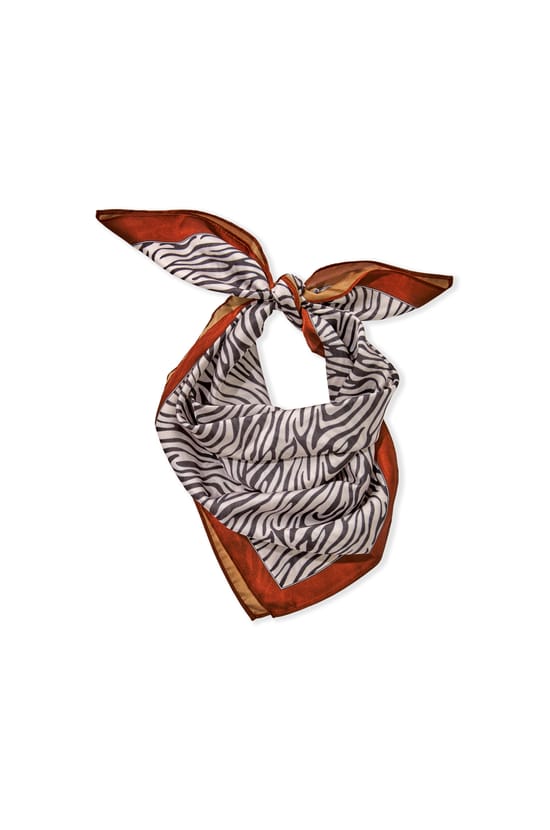 Foulard estampado;${refinementColor}