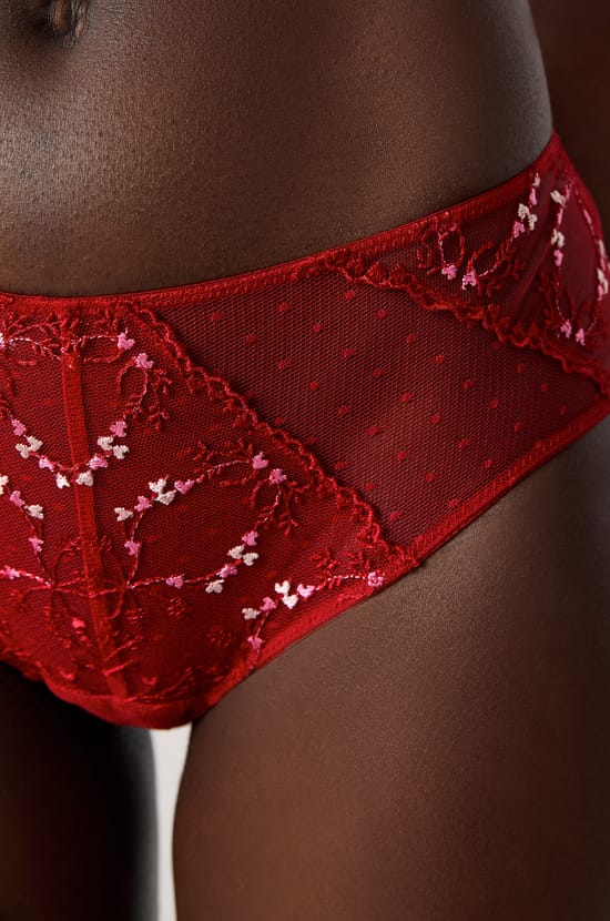 Embroidered Tulle Boyshorts;${refinementColor}