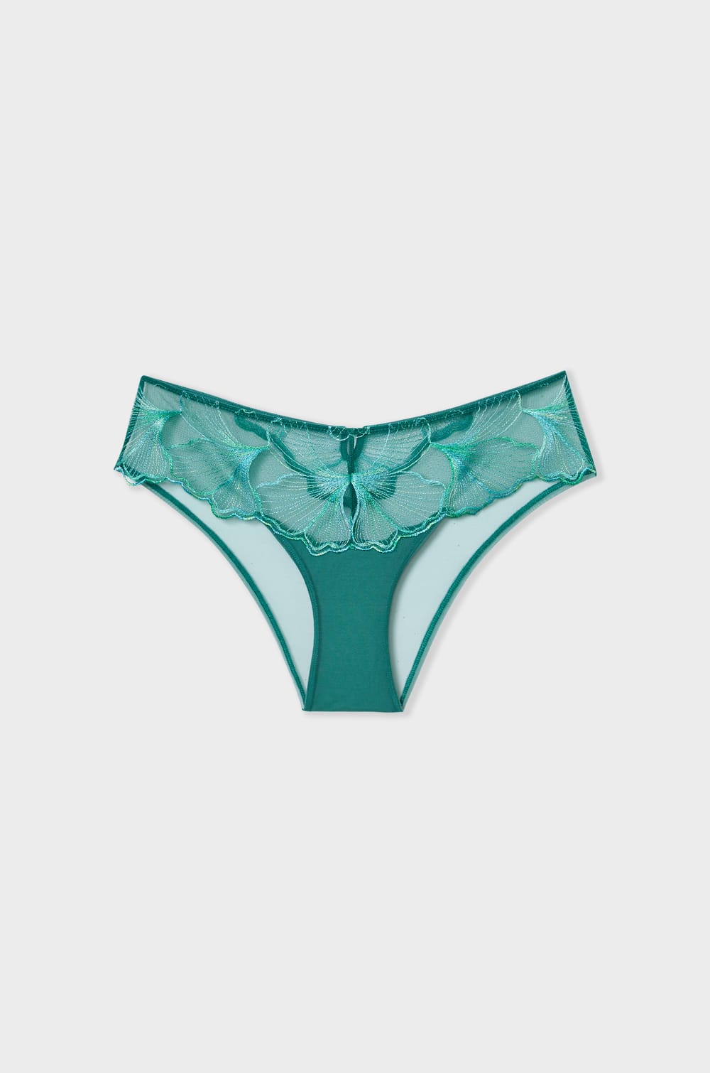 Panty tipo Hipster de encaje;${refinementColor}