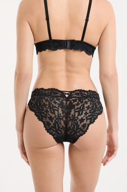Lace Brief;${refinementColor}