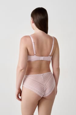 Sujetador cl&aacute;sico de encaje;${refinementColor}