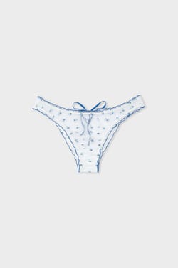 Briefs with Embroidery;${refinementColor}