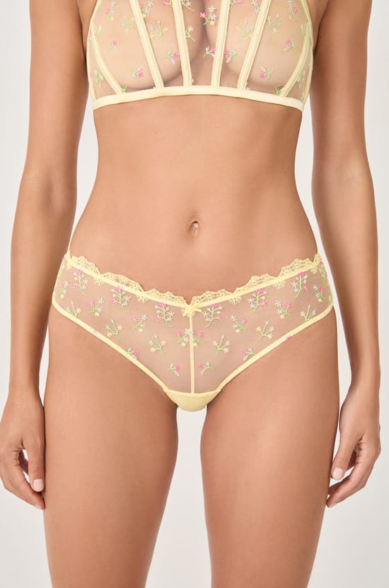 Embroidered Detail Hipster;${refinementColor}