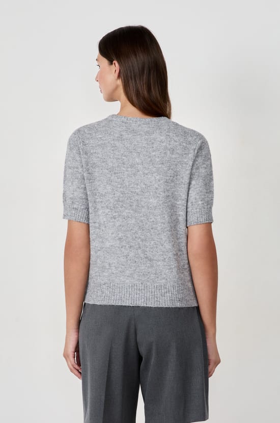 Pull manches courtes;${refinementColor}
