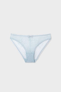Lace Brief;${refinementColor}