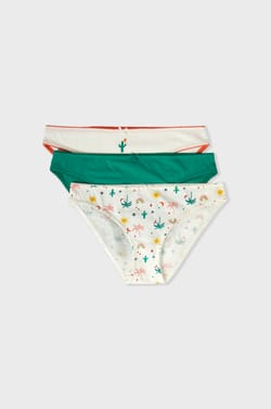Pack of 3 Briefs;${refinementColor}