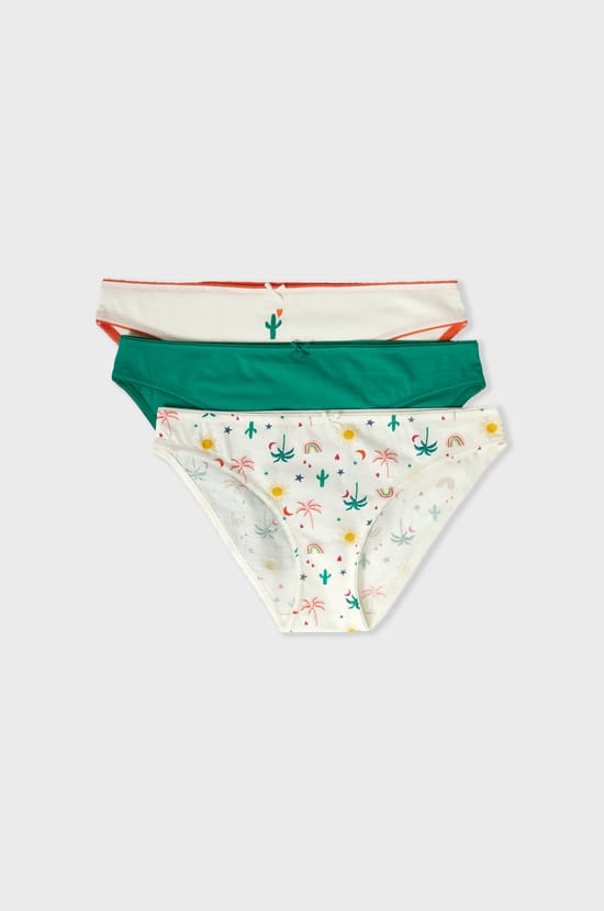 Pack of 3 Briefs;${refinementColor}