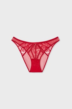 Tulle And Satin Brief;${refinementColor}