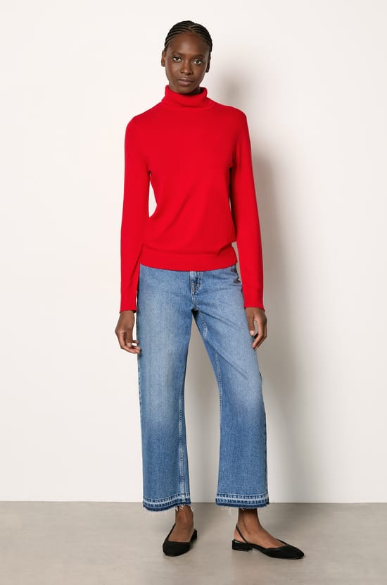 Pull col roulé;${refinementColor}