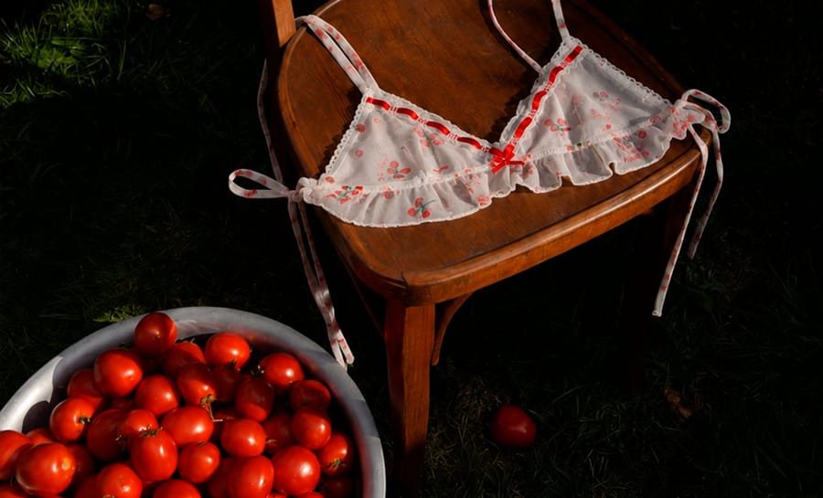 French Picnic