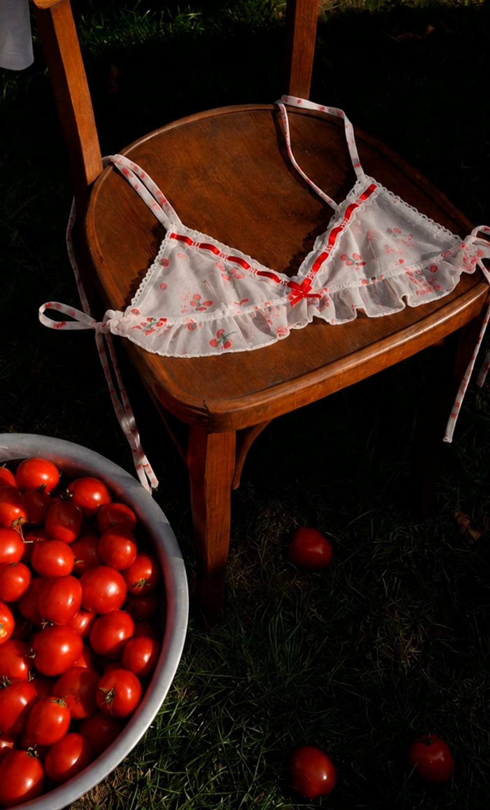 French Picnic