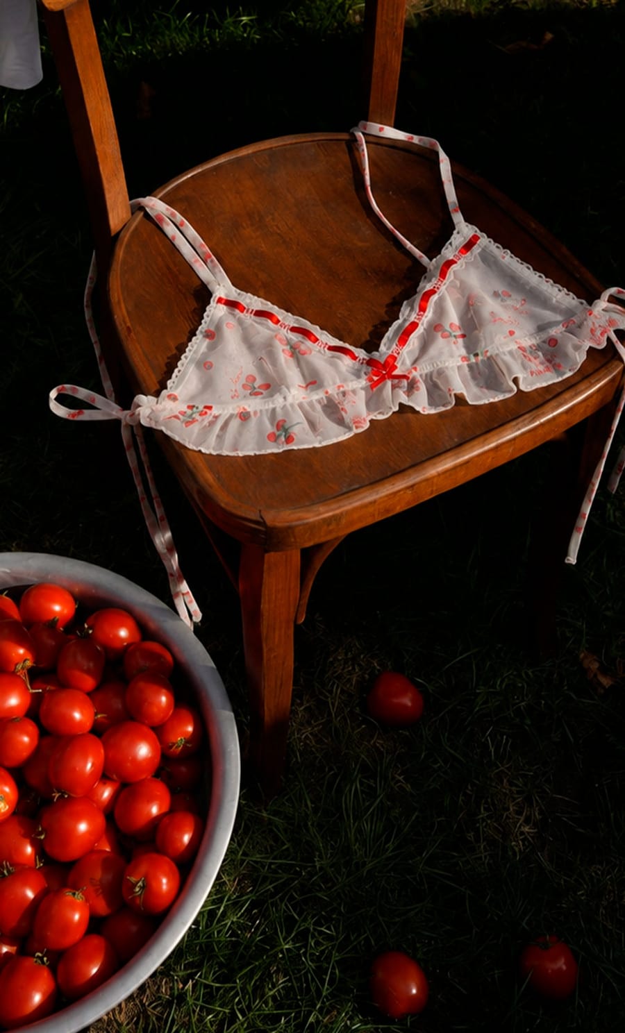French Picnic
